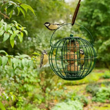 CJ Wildlife - London Squirrel Resistant Fatball Feeder